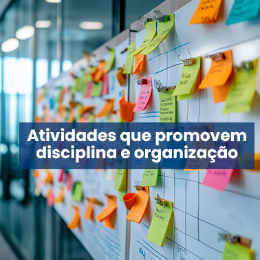 imagem_como_funciona_organizacaoo